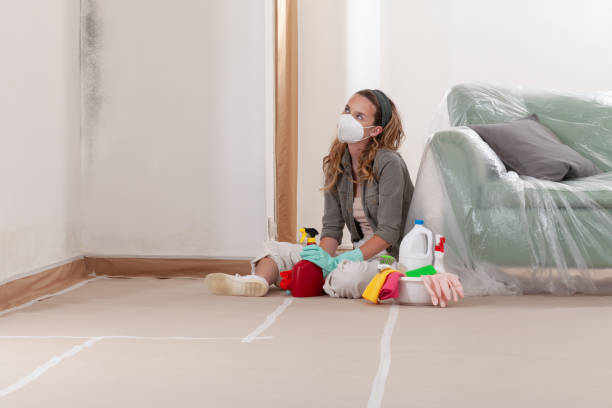 Reliable Black Mold Remediation contractor in East Jordan, MI by Car Mold Remediation